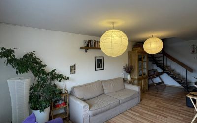 IMG_3156